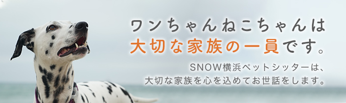 SNOW横浜川崎ペットシッターは大切なワンチャン猫ちゃんを心を込めてシッティングします。